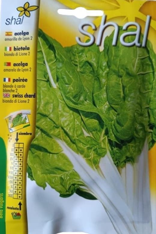 ACELGA AMARILLA DE LYON 2 - Imagen 1
