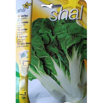 ACELGA VERDE DE PENCA BLANCA 2 - Imagen 1