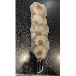 AJO BLANCO PARA SIEMBRA 40/60 - Imagen 1