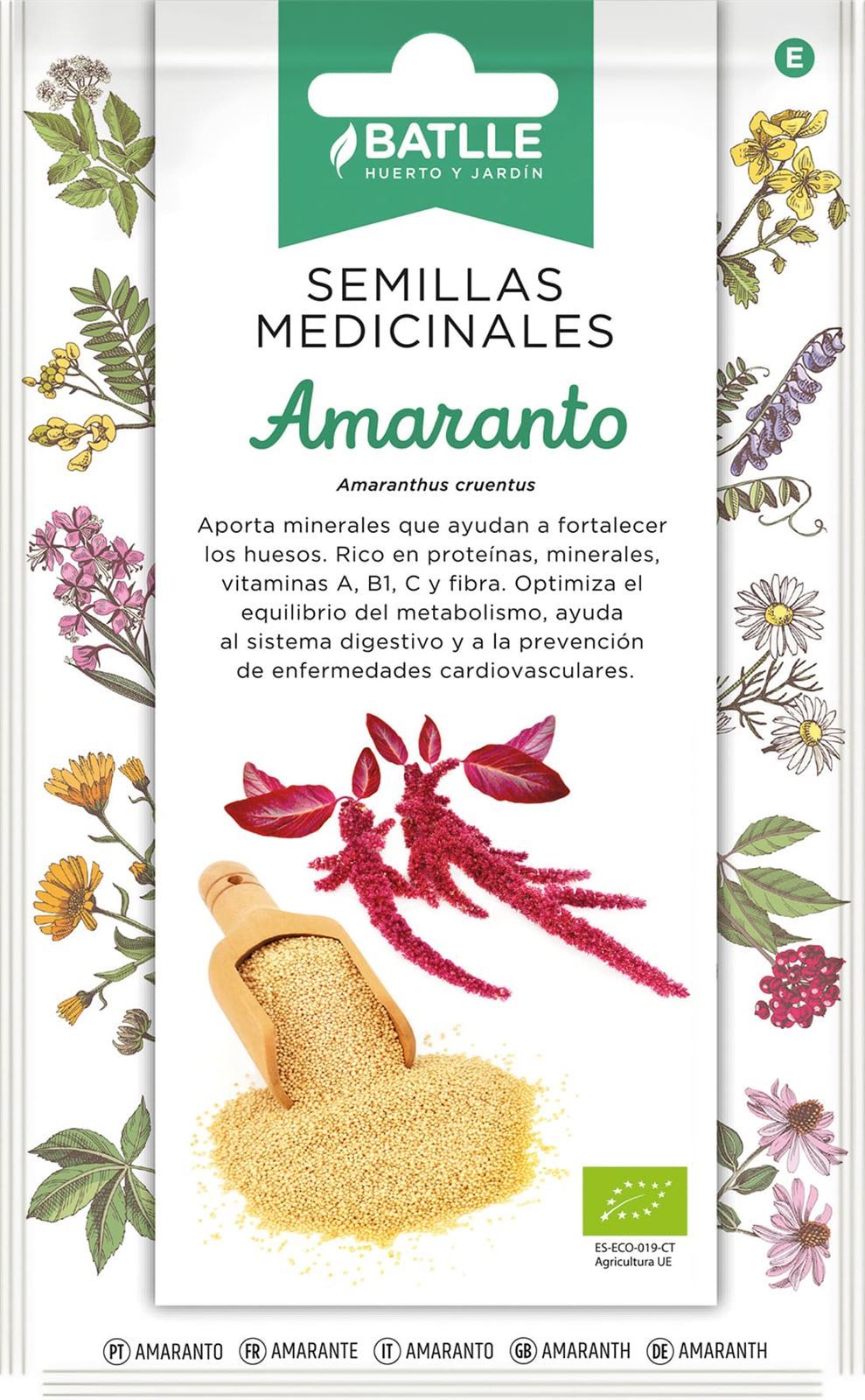 Amaranto Rojo Planta de crecimiento rápido. Puede llegar a los 1,5 m de alto. Sus inflorescencias rojas generan las semillas para consumo. Uso como harina para pan o cereal. - Imagen 1
