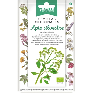 Apio Silvestre Planta herbácea perenne con tallos florales acanalados de color verde medio con un rizoma de color blanquecino. Sus derivados se suelen tomar infusionados. - Imagen 1