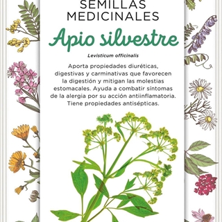 Apio Silvestre - Imagen 1