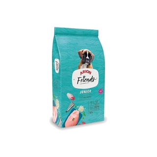 ARION FRIENDS JUNIOR - Imagen 1