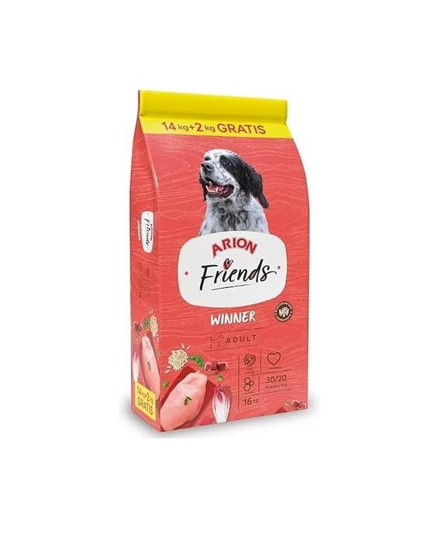ARION FRIENDS WINNER - Imagen 1