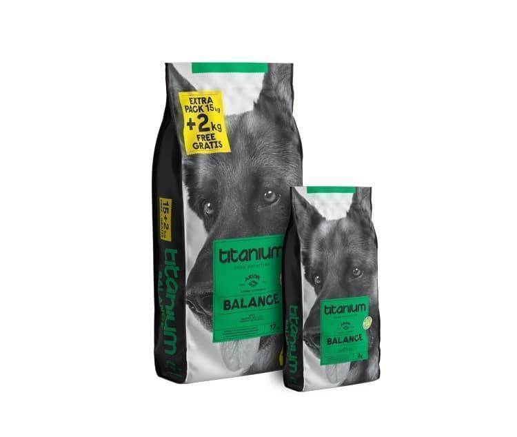 ARION TITANIUM BALANCE (entrega 24/48 horas) - Imagen 1