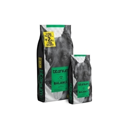 ARION TITANIUM BALANCE (entrega 24/48 horas) - Imagen 1