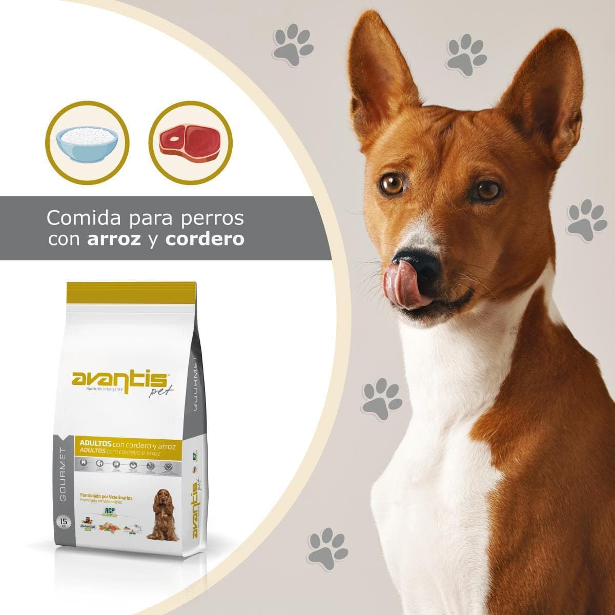 AVANTIS PET GOURMET - Imagen 3