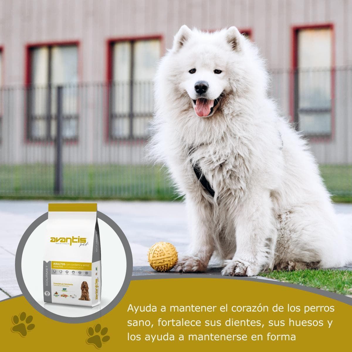 AVANTIS PET GOURMET - Imagen 4