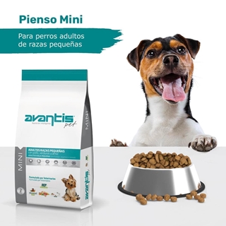 AVANTIS PET MINI - Imagen 2