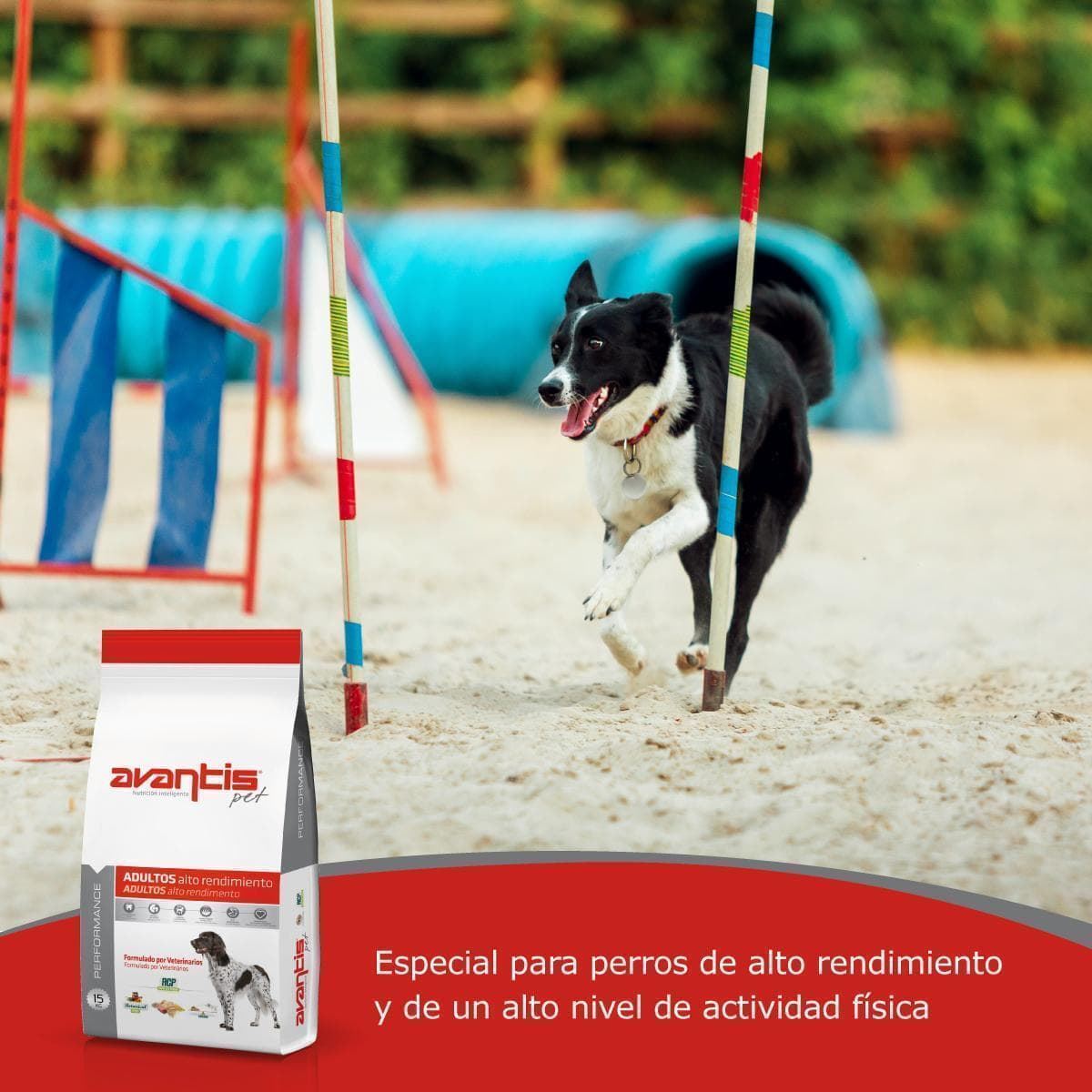 AVANTIS PET PERFORMANCE 15kg - Imagen 3