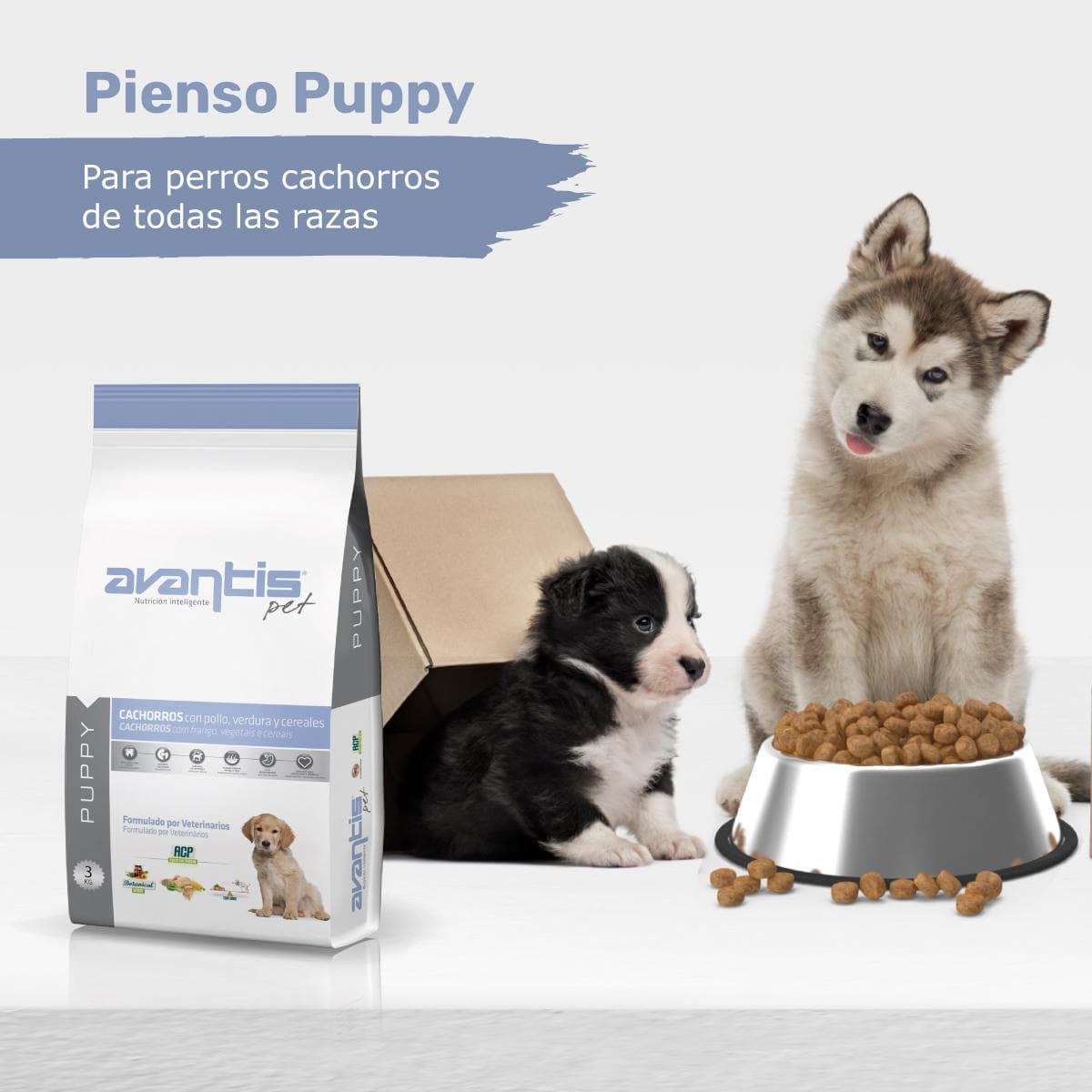 AVANTIS PET PUPY - Imagen 3