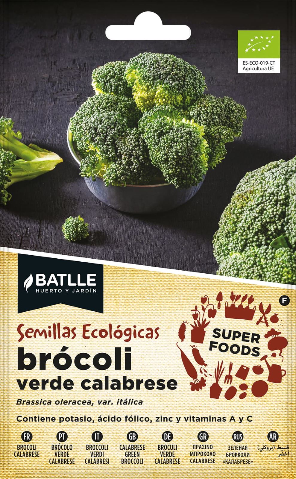 Broculi Verde Calabrese Planta muy rústica que forma pella globosa y compacta. Sabor gustoso - Imagen 1