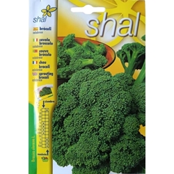 Broculi verde calabrese - Imagen 1