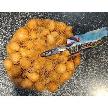 BULBILLO CEBOLLA STUTTGARTER 21/24 500GRS - Imagen 1