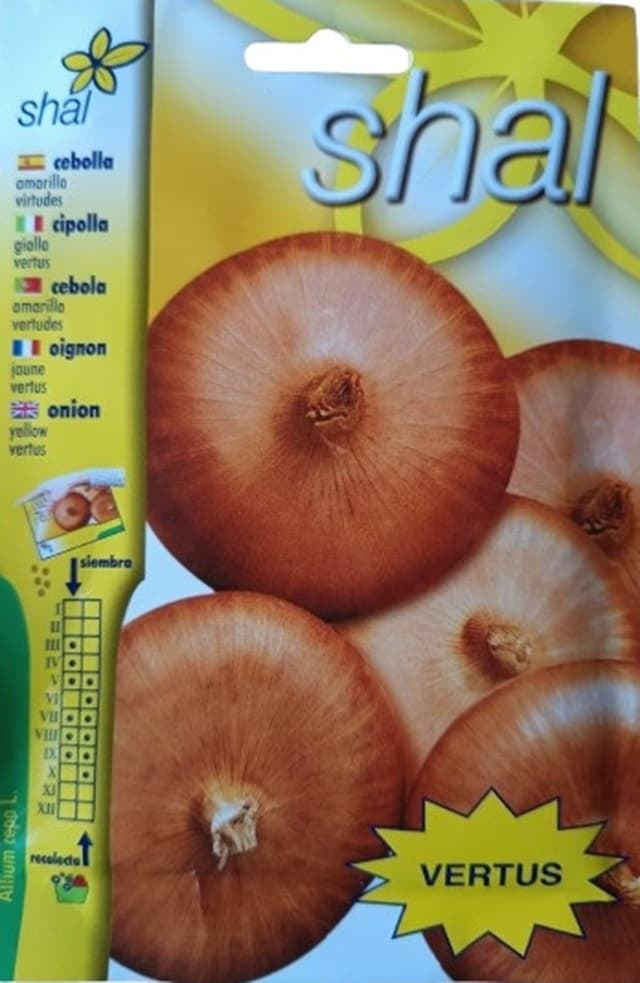 CEBOLLA AMARILLA VIRTUDES - Imagen 1