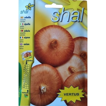 CEBOLLA AMARILLA VIRTUDES - Imagen 1