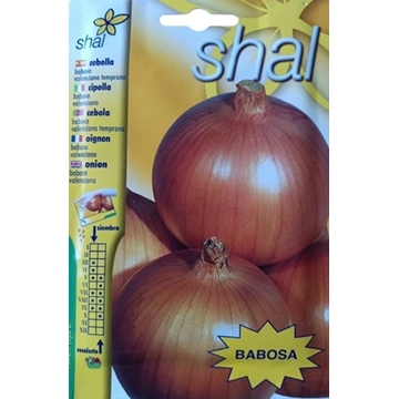 CEBOLLA BABOSA, VALENCIANA TEMPRANA - Imagen 1