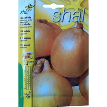 CEBOLLA VALENCIANA TARDIA - Imagen 1