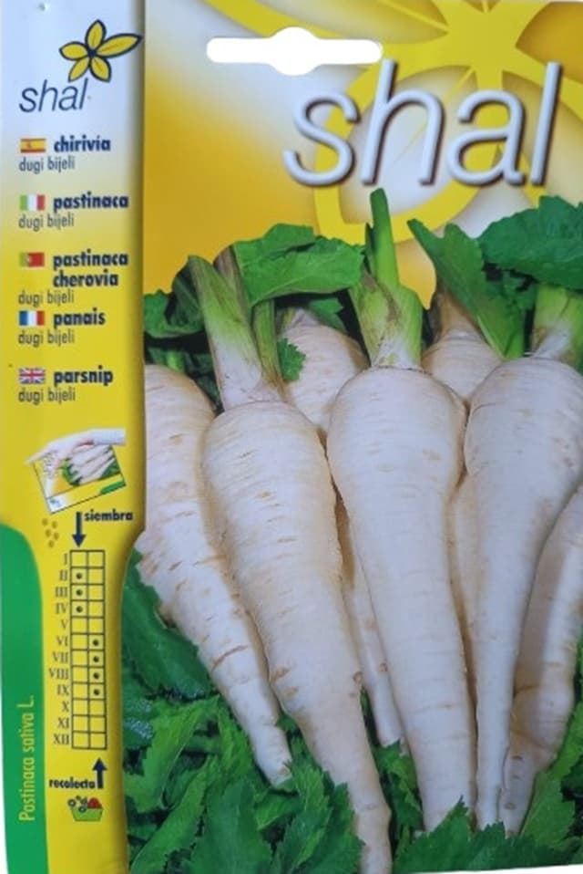 CHIRIVIA (PASTINACA) DUGI BIJELI - Imagen 1