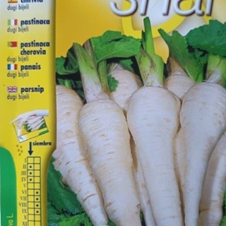 CHIRIVIA (PASTINACA) DUGI BIJELI - Imagen 1