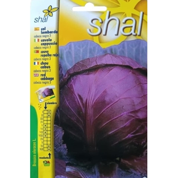 COL LOMBARDA, CABEZA NEGRA - Imagen 1