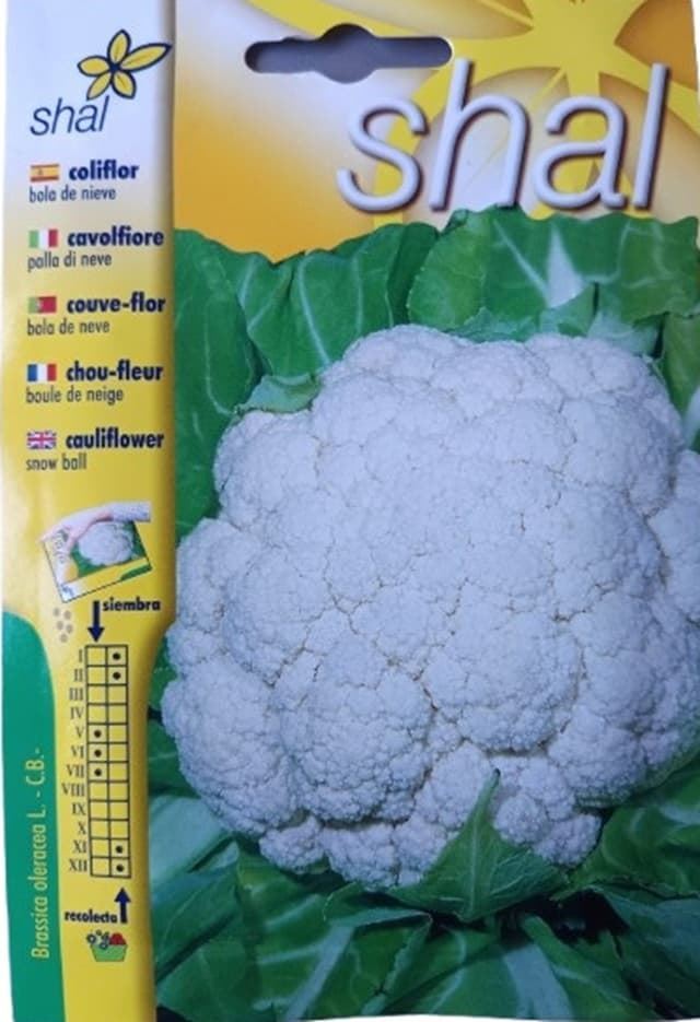Coliflor bola de nieve - Imagen 1