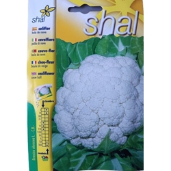 Coliflor bola de nieve - Imagen 1