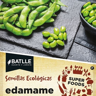 Edamame Vainas de soja inmadura. Cultivo de primavera-verano, muy productivo. Requiere suelos poco calizos. - Imagen 1