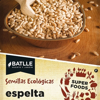 Espelta Cereal tradicional muy rústico para producir harinas de alta calidad. De 90 a 100 cm de altura. - Imagen 1