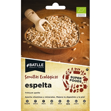 Espelta Cereal tradicional muy rústico para producir harinas de alta calidad. De 90 a 100 cm de altura. - Imagen 1