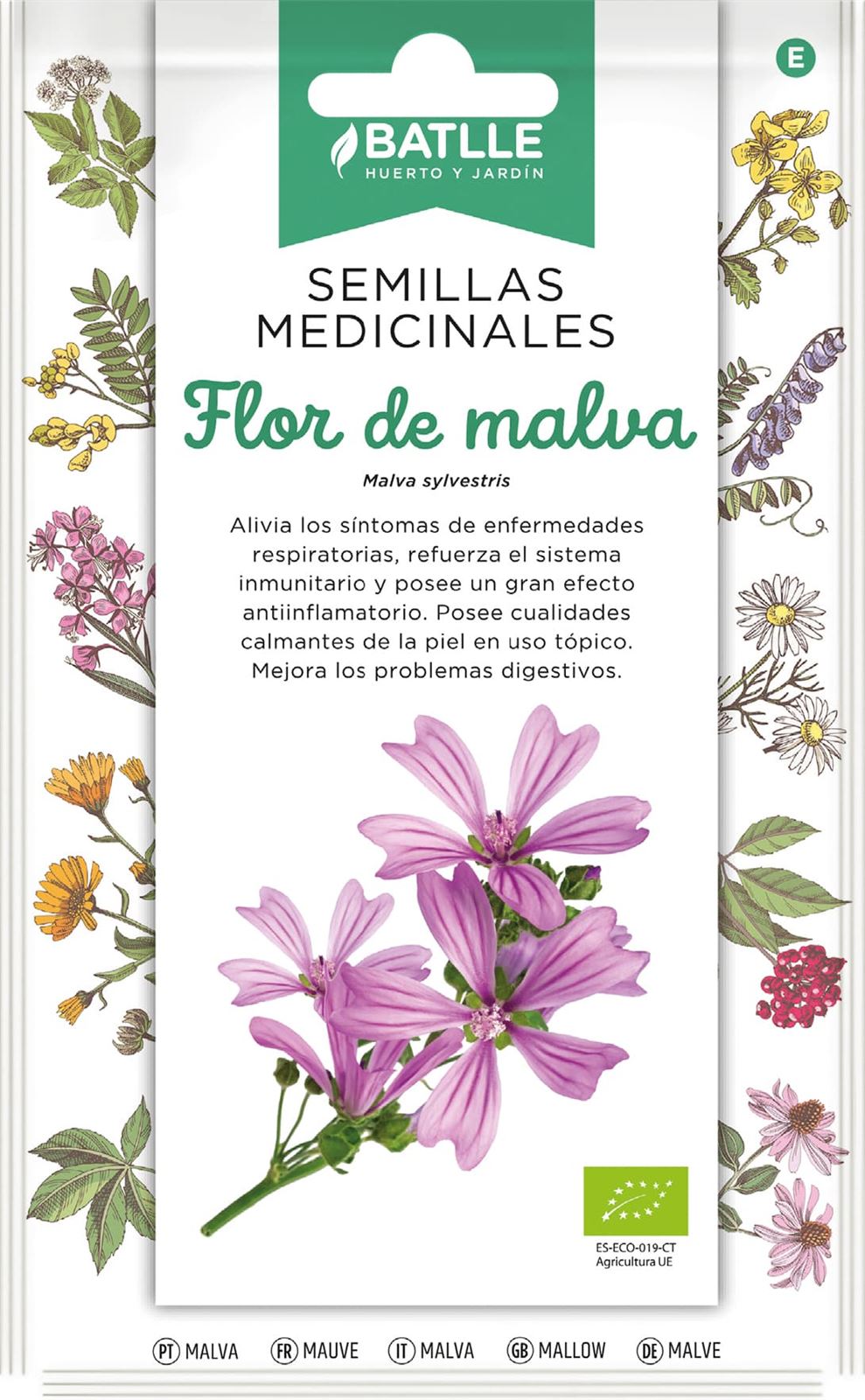 Flor de Malva Planta herbácea, floración de primavera a verano. Altura entre 50-100 cm. Las flores y hojas secas se toman mediante infusiones. - Imagen 1