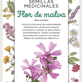 Flor de Malva - Imagen 1