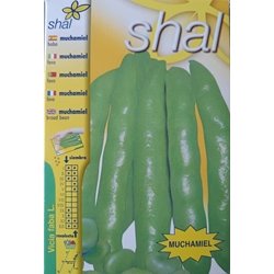 HABA MUCHAMIEL, variedad muy precoz - Imagen 1