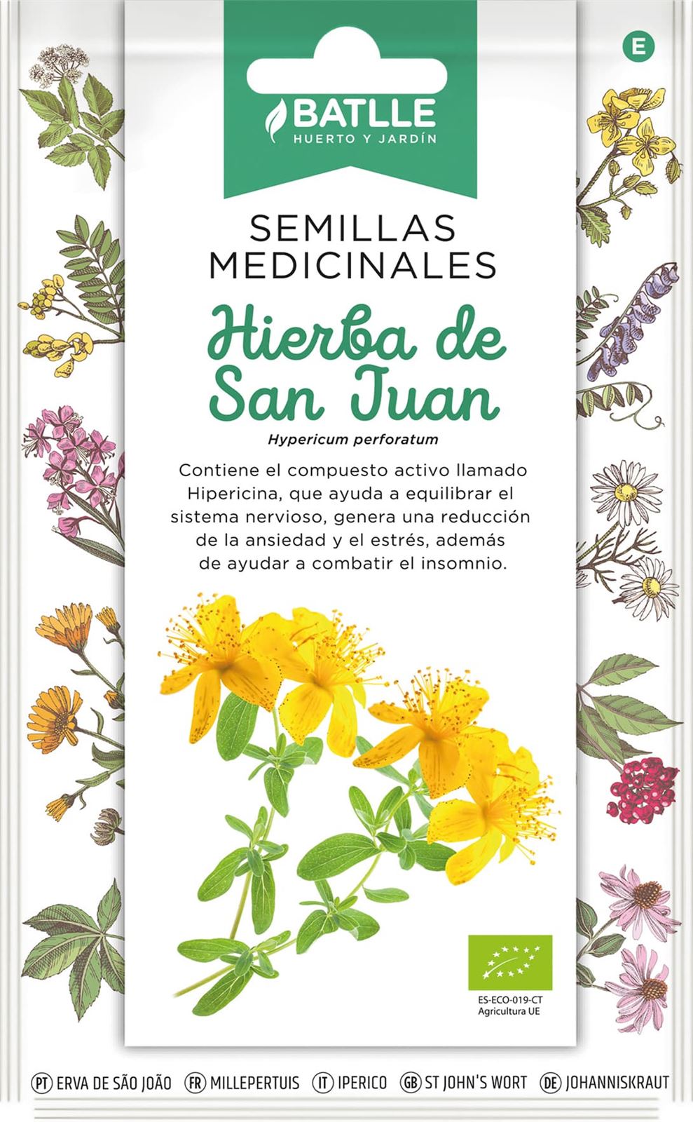 Hierba de San Juan Variedad herbácea perenne de altura entre 30-60 cm, con flores estrelladas de color amarillo. La mejor manera de tomar es infusionada. - Imagen 1