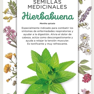 Hierbabuena - Imagen 1
