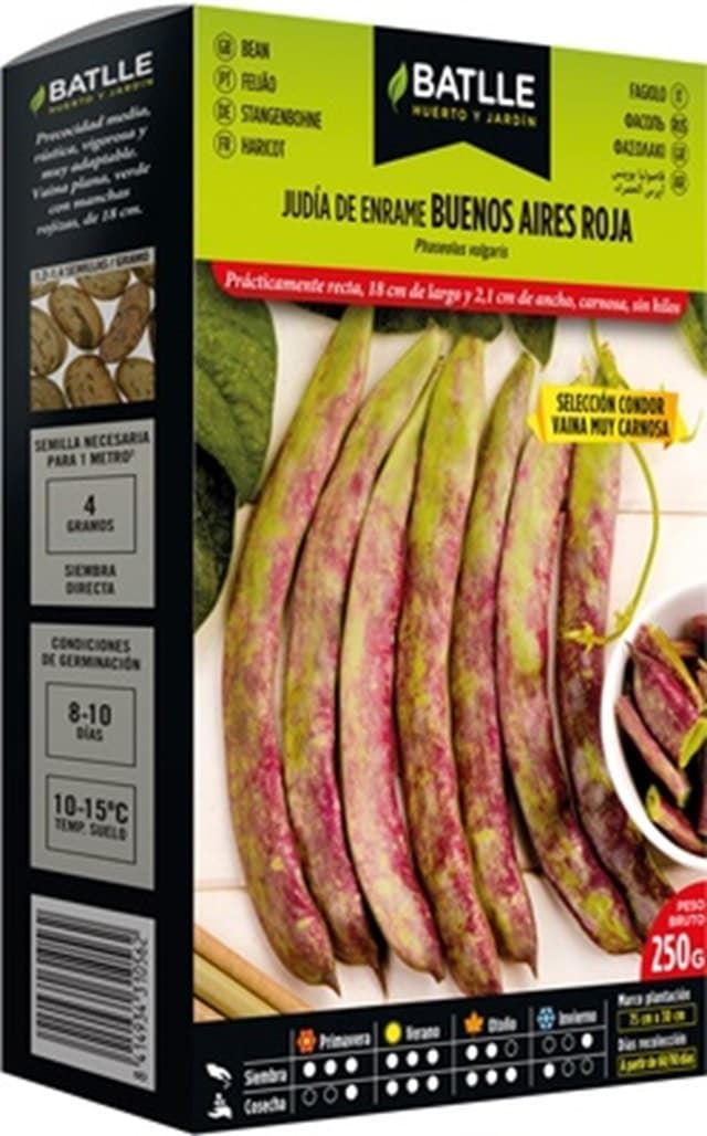 Judia buenos aires roja, s. condor - Imagen 1