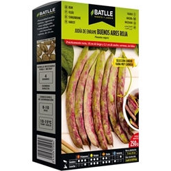 Judia buenos aires roja, s. condor - Imagen 1