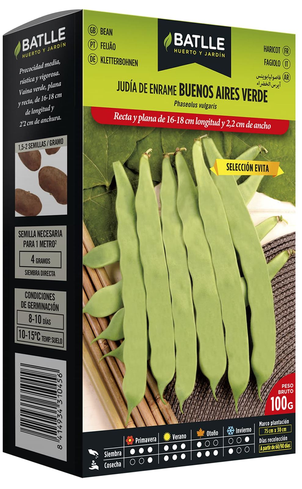 Judia De Enrame Buenos Aires Verde - Imagen 1