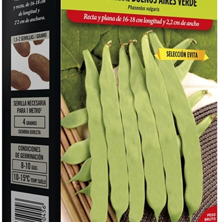 Judia De Enrame Buenos Aires Verde - Imagen 1