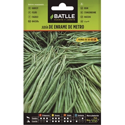 Judía de Enrame ‘De Metro’ - Imagen 1