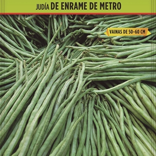 Judía de Enrame ‘De Metro’ - Imagen 1
