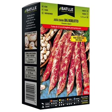 Judía Enana Big Borlotto - Imagen 1