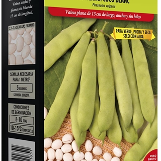 Judía Enana Coco Blanc - Imagen 1