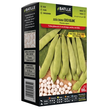 Judía Enana Coco Blanc - Imagen 1