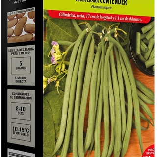 Judía Enana Contender - Imagen 1