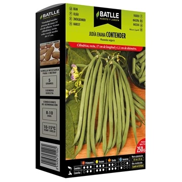 Judía Enana Contender - Imagen 1