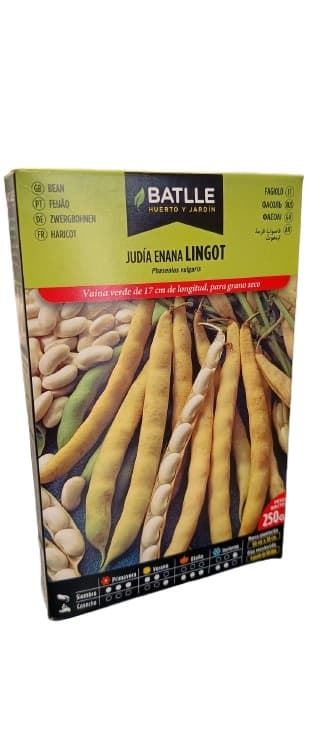 Judía Enana Lingot 250grs - Imagen 1