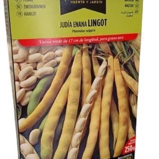JUDÍA ENANA LINGOT 250GRS - Imagen 1