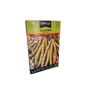 JUDÍA ENANA LINGOT 250GRS - Imagen 1