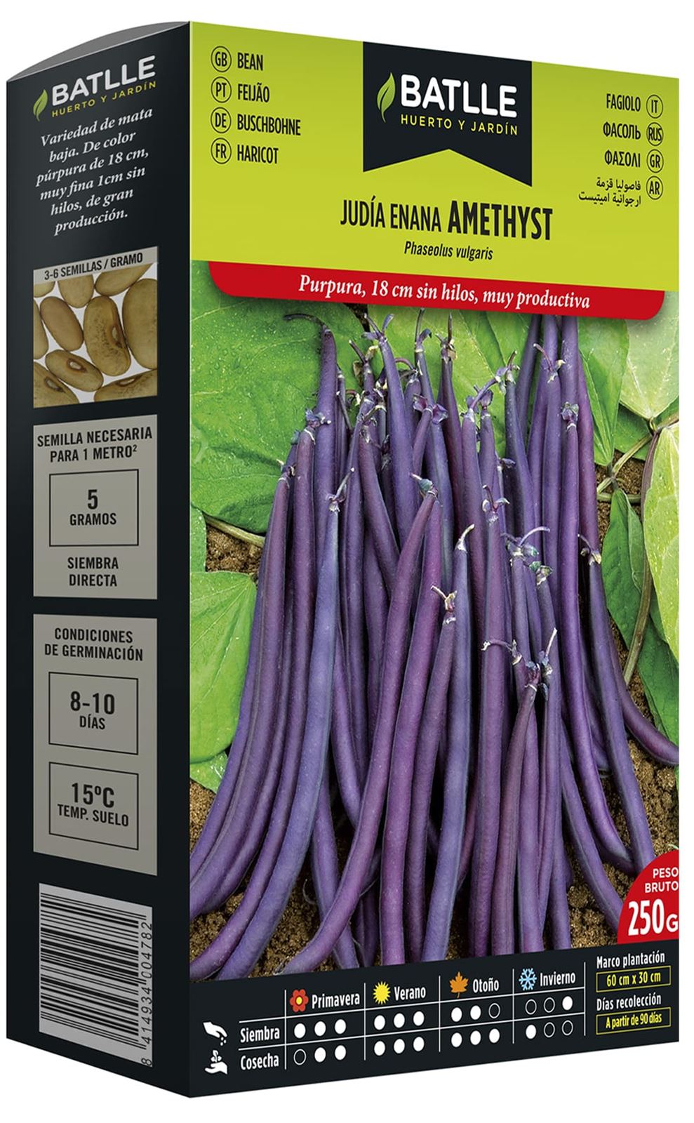 Judía Enana purpura Amethyst 250 grs - Imagen 1